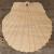 Image TH Sea Shell Scallop Acurate