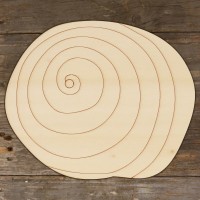 Sea Shell Sundial Acurate Main Image